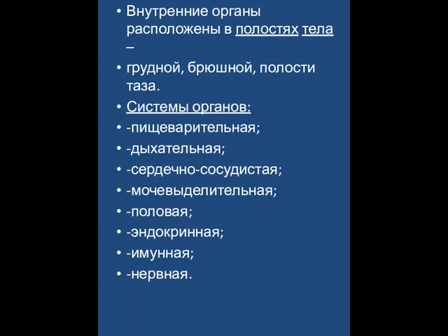 Внутренние органы расположены в полостях тела – грудной, брюшной, полости