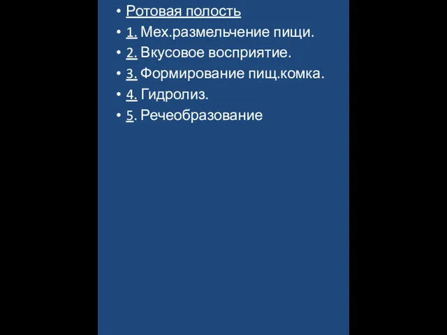 Ротовая полость 1. Мех.размельчение пищи. 2. Вкусовое восприятие. 3. Формирование пищ.комка. 4. Гидролиз. 5. Речеобразование