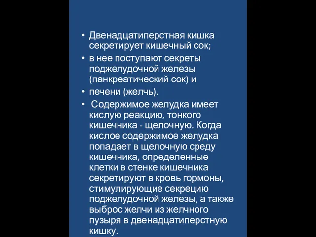 Двенадцатиперстная кишка секретирует кишечный сок; в нее поступают секреты поджелудочной