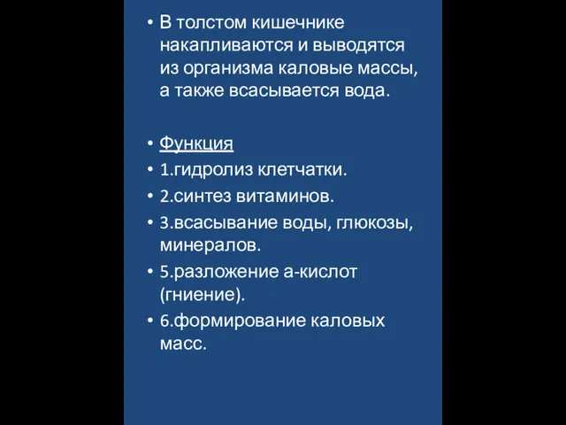 В толстом кишечнике накапливаются и выводятся из организма каловые массы,