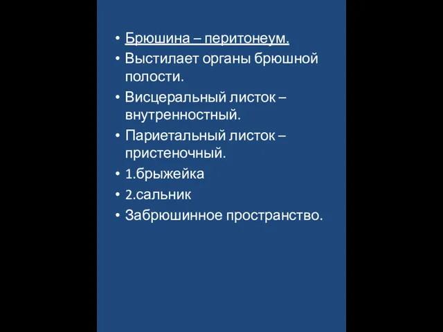 Брюшина – перитонеум. Выстилает органы брюшной полости. Висцеральный листок –