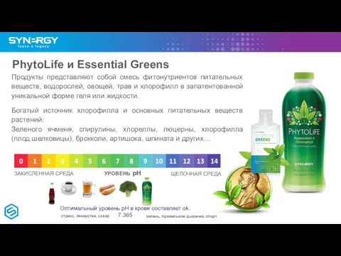 PhytoLife и Essential Greens Продукты представляют собой смесь фитонутриентов питательных