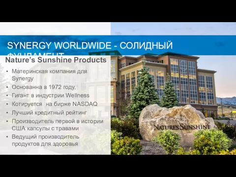 SYNERGY WORLDWIDE - СОЛИДНЫЙ ФУНДАМЕНТ Nature’s Sunshine Products Материнская компания