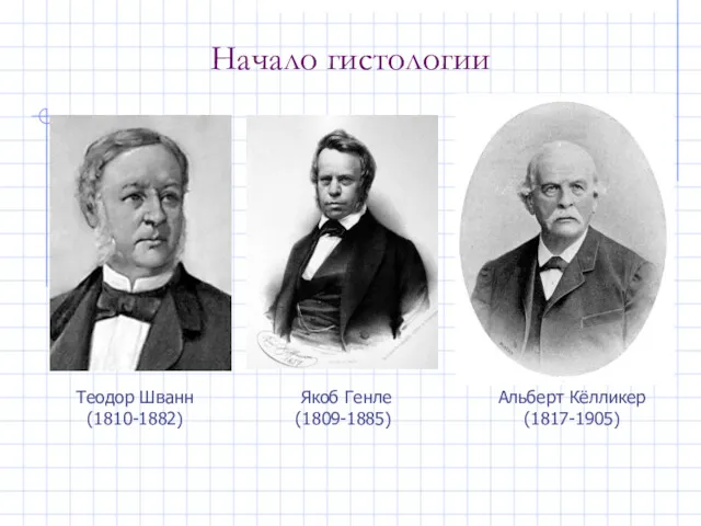 Начало гистологии Альберт Кёлликер (1817-1905) Теодор Шванн (1810-1882) Якоб Генле (1809-1885)