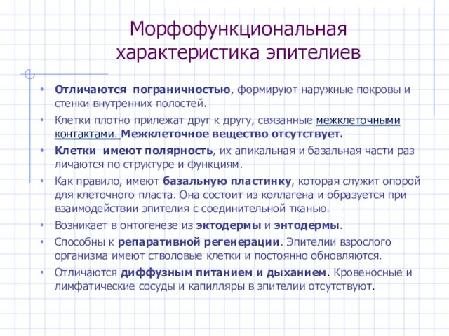 Морфофункциональная характеристика эпителиев Отличаются пограничностью, формируют наружные покровы и стенки