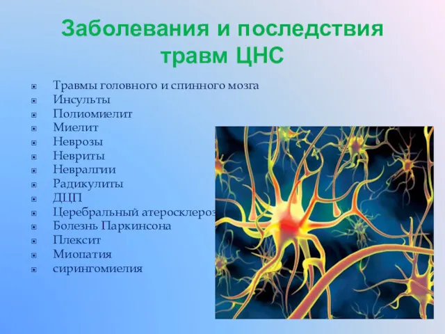 Заболевания и последствия травм ЦНС Травмы головного и спинного мозга