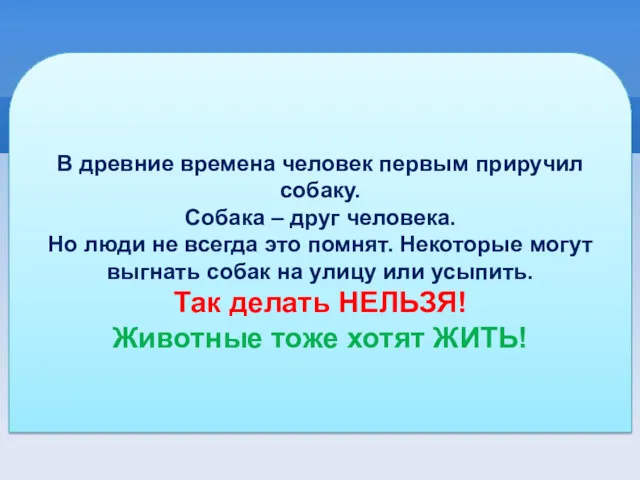 В древние времена человек первым приручил собаку. Собака – друг человека. Но люди