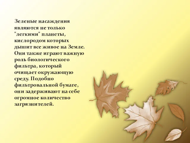 Зеленые насаждения являются не только "легкими" планеты, кислородом которых дышит