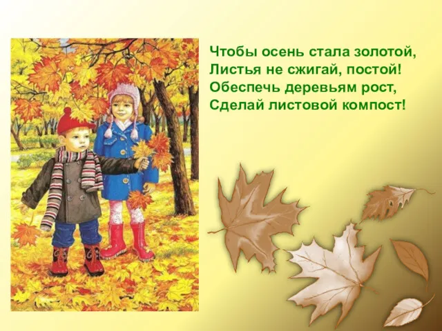 Чтобы осень стала золотой, Листья не сжигай, постой! Обеспечь деревьям рост, Сделай листовой компост!