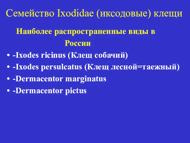 Семейство Ixodidae (иксодовые) клещи Наиболее распространенные виды в России -Ixodes ricinus (Клещ собачий)