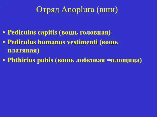 Отряд Anoplura (вши) Pediculus capitis (вошь головная) Pediculus humanus vestimenti (вошь платяная) Phthirius