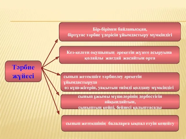 Тәрбие жүйесі Бір-бірімен байланысқан, біртұтас тәрбие үдерісін ұйымдастыру мүмкіндігі Кез-келген оқушының әрекетін жүзеге