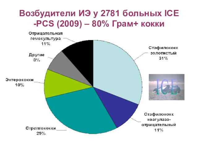 Возбудители ИЭ у 2781 больных ICE -PCS (2009) – 80% Грам+ кокки