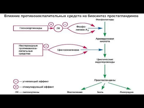 Влияние противовоспалительных средств на биосинтез простагландинов