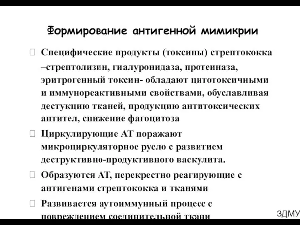 ЗДМУ Формирование антигенной мимикрии Специфические продукты (токсины) стрептококка –стрептолизин, гиалуронидаза,