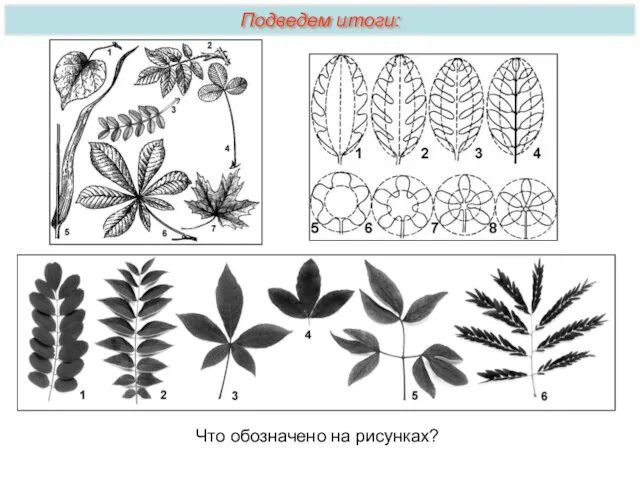 Что обозначено на рисунках? Подведем итоги: