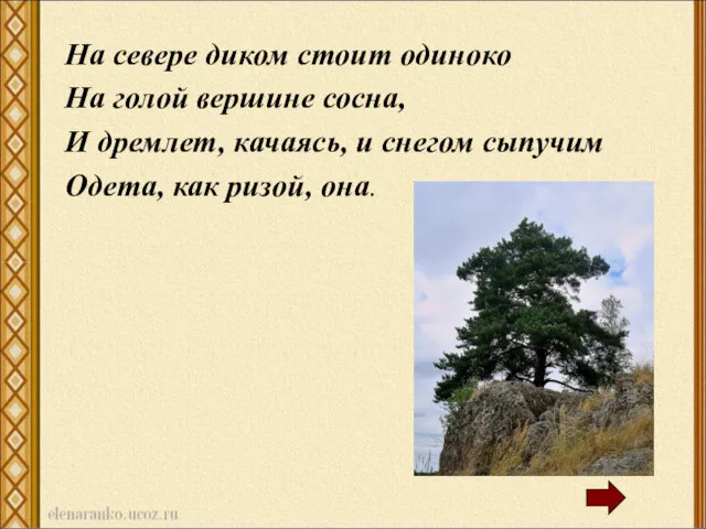 На севере диком стоит одиноко На голой вершине сосна, И