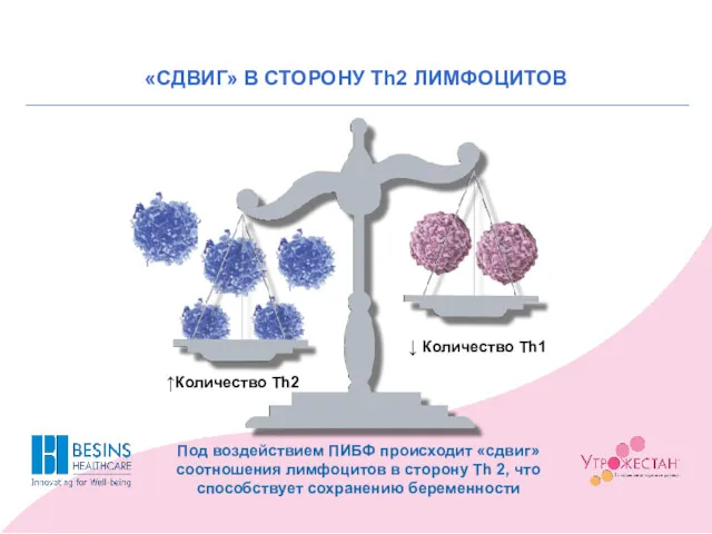 Под воздействием ПИБФ происходит «сдвиг» соотношения лимфоцитов в сторону Th 2, что способствует