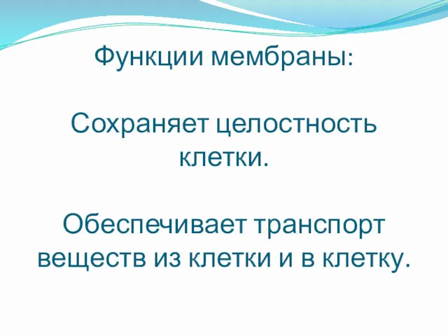 Функции мембраны: Сохраняет целостность клетки. Обеспечивает транспорт веществ из клетки и в клетку.