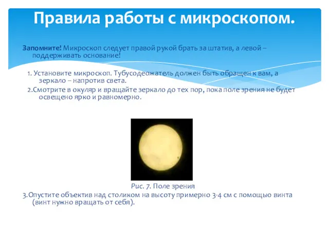 Запомните! Микроскоп следует правой рукой брать за штатив, а левой