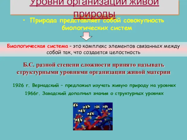 Уровни организации живой природы Природа представляет собой совокупность биологических систем