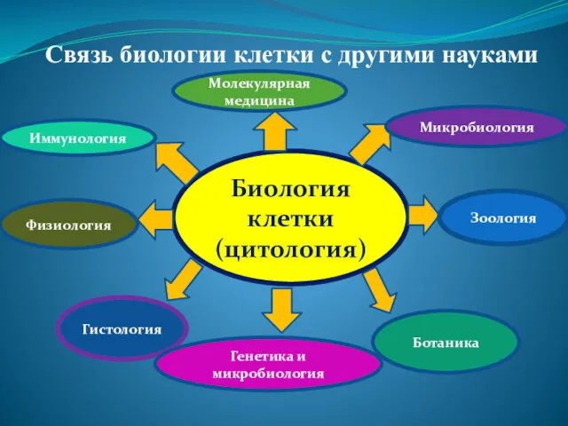 Биология клетки (цитология) Связь биологии клетки с другими науками Гистология