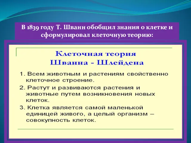 В 1839 году Т. Шванн обобщил знания о клетке и сформулировал клеточную теорию: