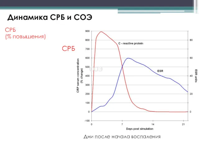 Динамика СРБ и СОЭ СРБ (% повышения) СОЭ Дни после начала воспаления СРБ