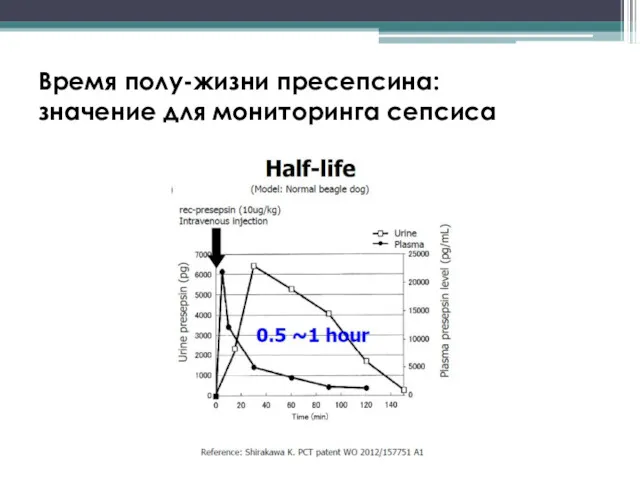 Время полу-жизни пресепсина: значение для мониторинга сепсиса