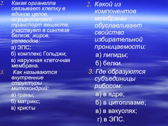 Какая органелла связывает клетку в единое целое, осуществляет транспорт веществ,