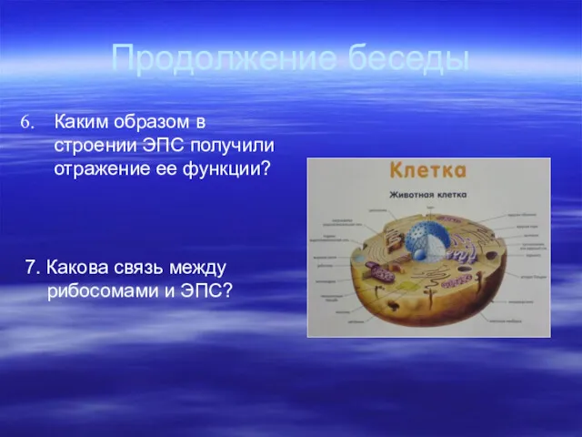 Продолжение беседы Каким образом в строении ЭПС получили отражение ее