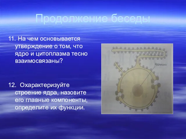 Продолжение беседы 11. На чем основывается утверждение о том, что