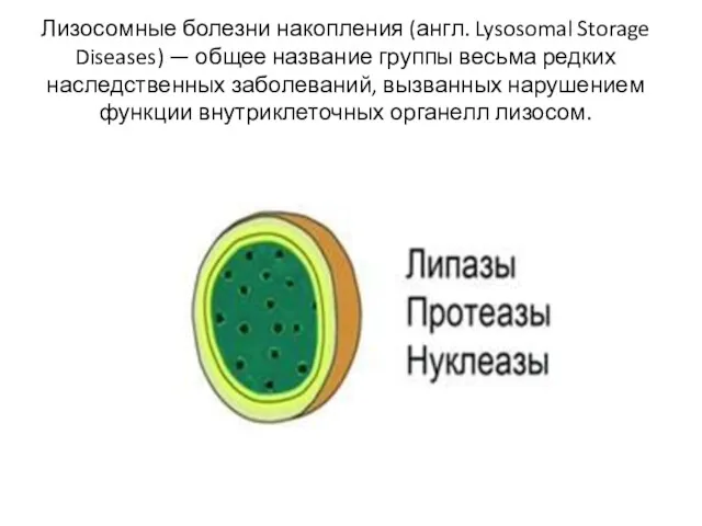 Лизосомные болезни накопления (англ. Lysosomal Storage Diseases) — общее название