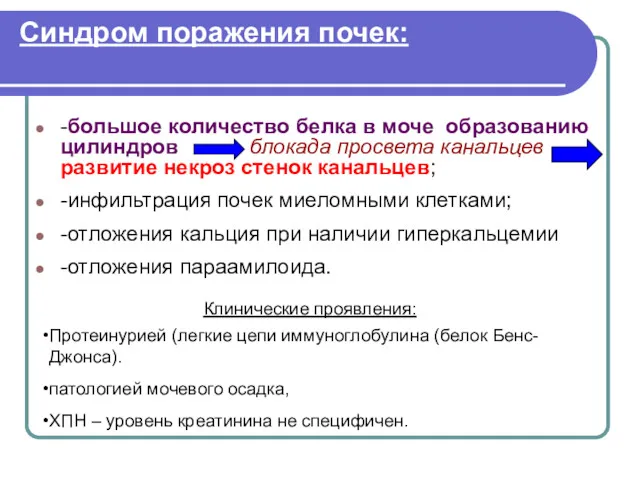 Синдром поражения почек: -большое количество белка в моче образованию цилиндров блокада просвета канальцев