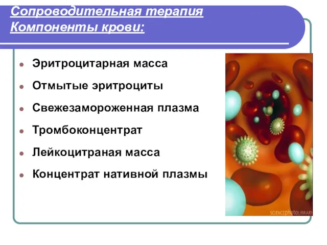 Сопроводительная терапия Компоненты крови: Эритроцитарная масса Отмытые эритроциты Свежезамороженная плазма Тромбоконцентрат Лейкоцитраная масса Концентрат нативной плазмы