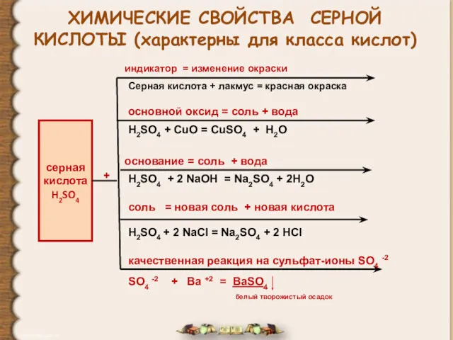 ХИМИЧЕСКИЕ СВОЙСТВА СЕРНОЙ КИСЛОТЫ (характерны для класса кислот) серная кислота