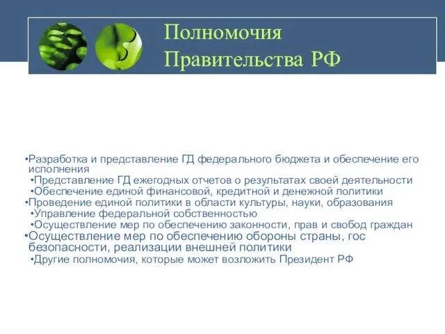 Полномочия Правительства РФ Разработка и представление ГД федерального бюджета и