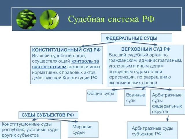 Судебная система РФ ФЕДЕРАЛЬНЫЕ СУДЫ СУДЫ СУБЪЕКТОВ РФ КОНСТИТУЦИОННЫЙ СУД