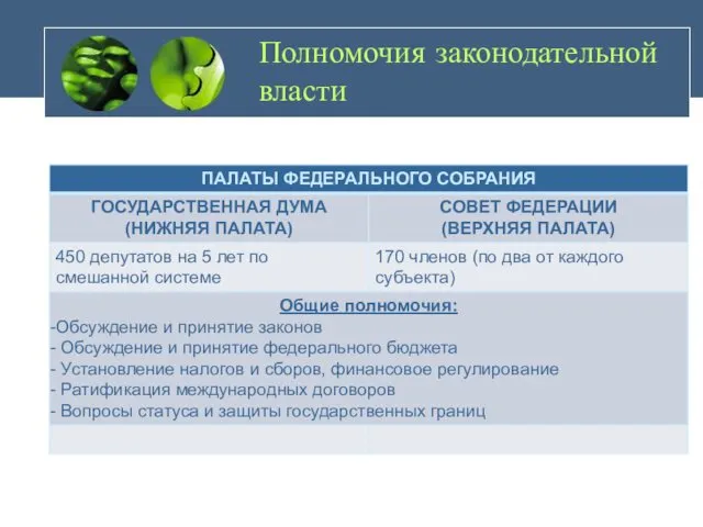 Полномочия законодательной власти