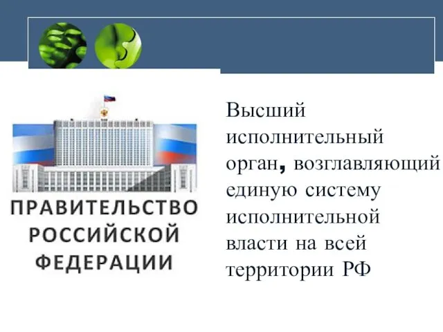 Высший исполнительный орган, возглавляющий единую систему исполнительной власти на всей территории РФ