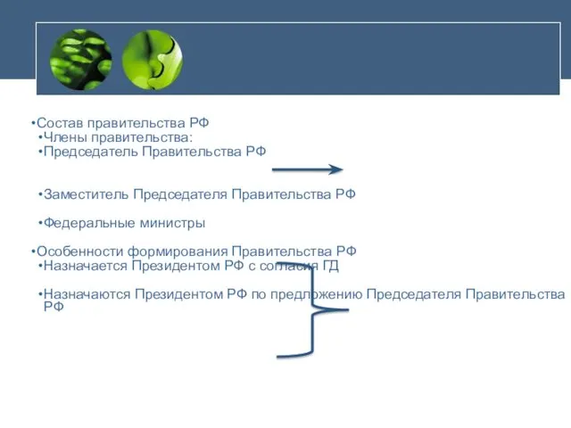 Состав правительства РФ Члены правительства: Председатель Правительства РФ Заместитель Председателя