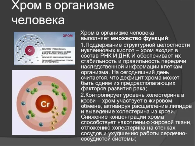 Хром в организме человека Хром в организме человека выполняет множество