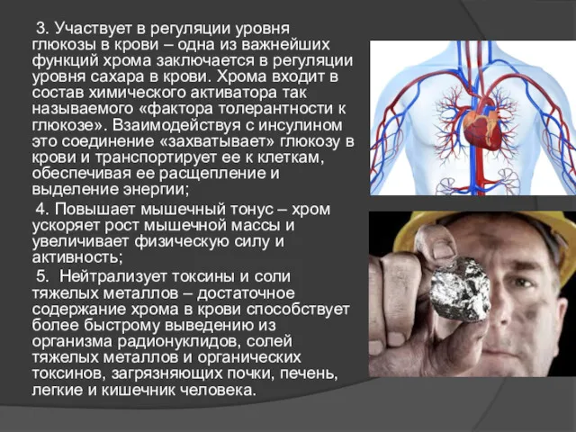 3. Участвует в регуляции уровня глюкозы в крови – одна