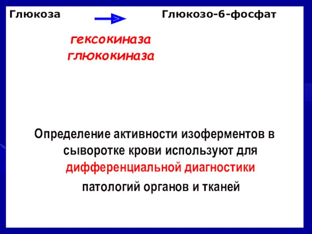 Глюкоза Глюкозо-6-фосфат Определение активности изоферментов в сыворотке крови используют для