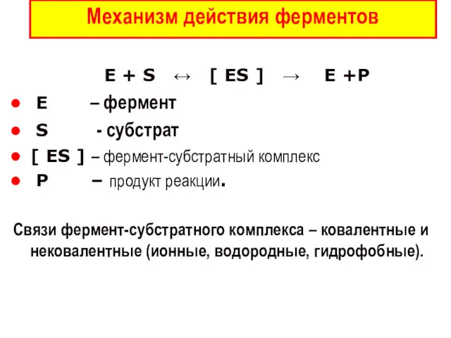 Механизм действия ферментов Е + S ↔ [ ЕS ]