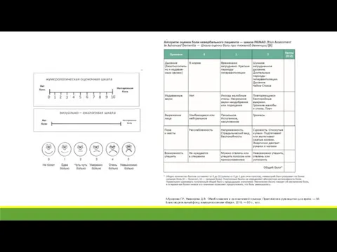 Абузарова Г.Р., Невзорова Д.В. Обезболивание в паллиативной помощи. Практическое руководство для врача. —