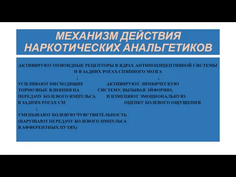 МЕХАНИЗМ ДЕЙСТВИЯ НАРКОТИЧЕСКИХ АНАЛЬГЕТИКОВ АКТИВИРУЮТ ОПИОИДНЫЕ РЕЦЕПТОРЫ В ЯДРАХ АНТИНОЦИЦЕПТИВНОЙ