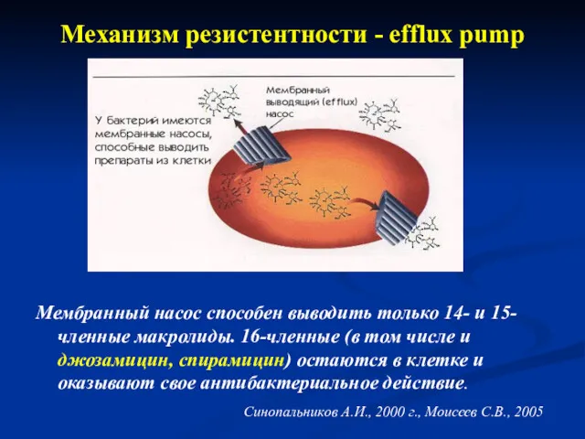 Механизм резистентности - efflux pump Мембранный насос способен выводить только