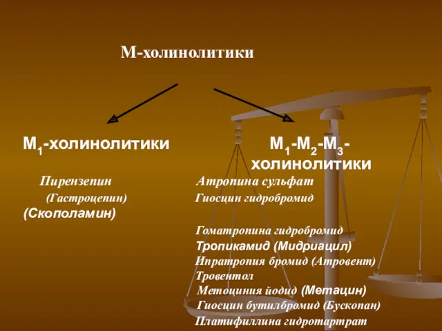 М-холинолитики М1-холинолитики М1-М2-М3- холинолитики Пирензепин Атропина сульфат (Гастроцепин) Гиосцин гидробромид