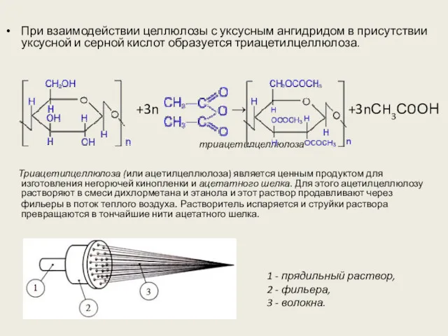 При взаимодействии целлюлозы с уксусным ангидридом в присутствии уксусной и серной кислот образуется